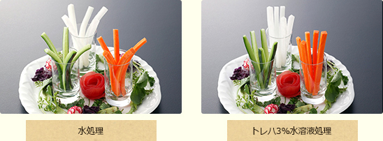 スティック野菜の変形抑制比較