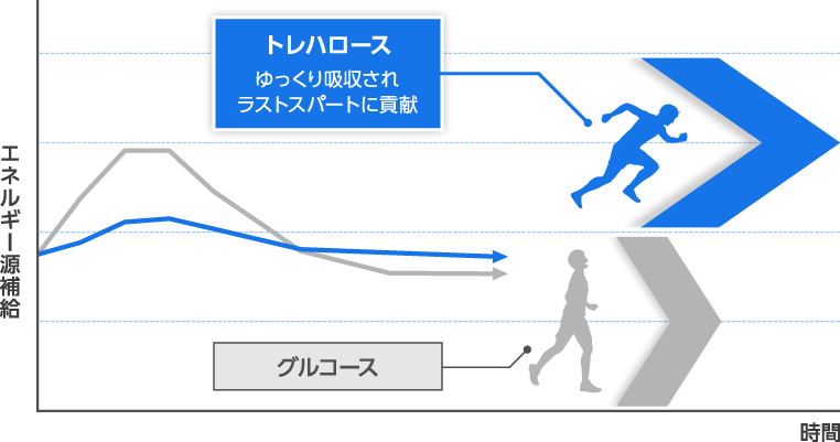 トレハロースとグルコースをエネルギー源として補給した場合の持久比較グラフ